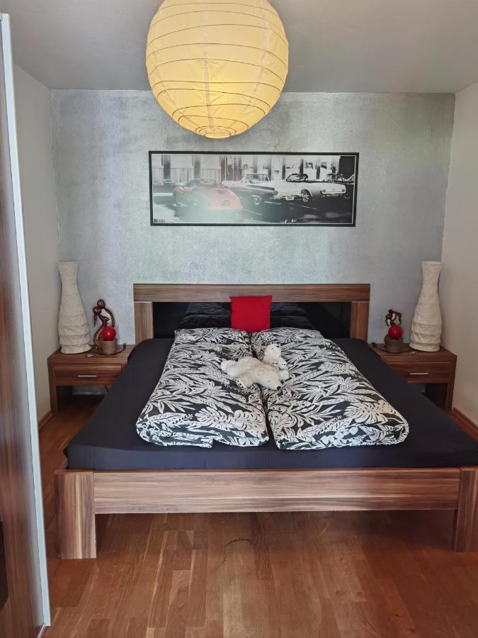 Appartement Hofer Niedernsill Exteriér fotografie
